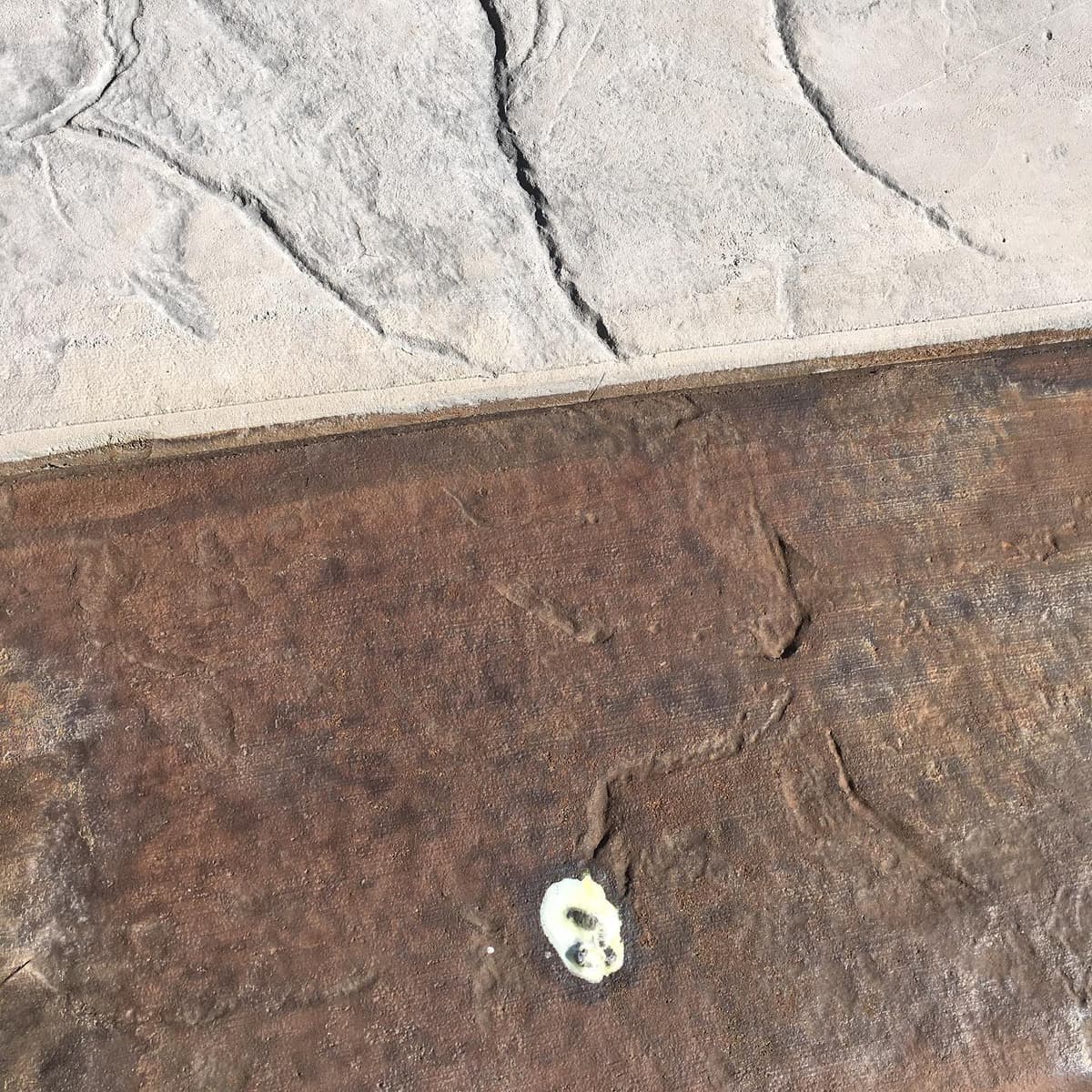 Southern Elite Concrete project photo 28